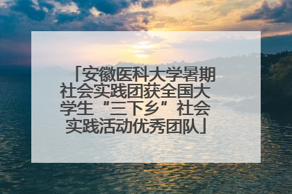 安徽医科大学暑期社会实践团获全国大学生“三下乡”社会实践活动优秀团队