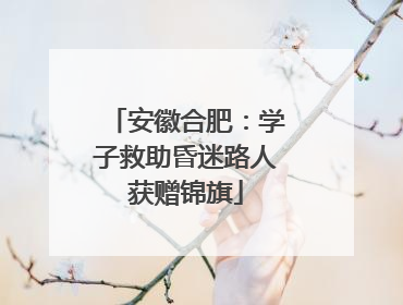 安徽合肥：学子救助昏迷路人获赠锦旗