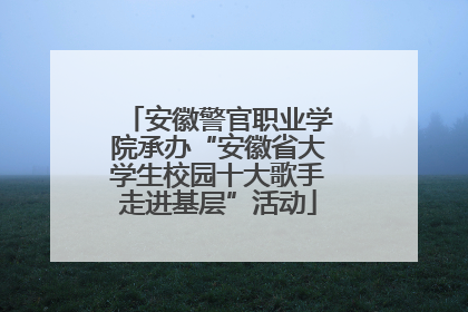 安徽警官职业学院承办“安徽省大学生校园十大歌手走进基层”活动