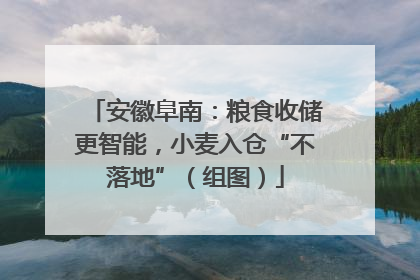 安徽阜南：粮食收储更智能，小麦入仓“不落地”（组图）