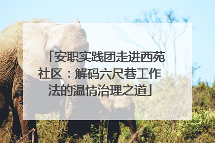 安职实践团走进西苑社区：解码六尺巷工作法的温情治理之道