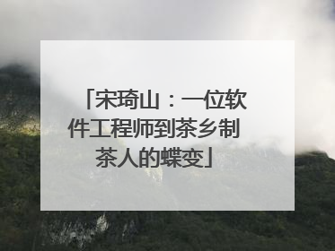 宋琦山：一位软件工程师到茶乡制茶人的蝶变