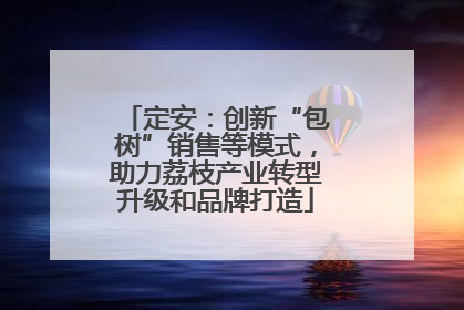 定安：创新“包树”销售等模式，助力荔枝产业转型升级和品牌打造