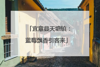 宜章县天塘镇：蓝莓飘香引客来