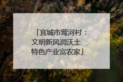 宜城市莺河村：文明新风润沃土 特色产业富农家