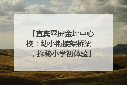 宜宾翠屏金坪中心校：幼小衔接架桥梁，探秘小学初体验