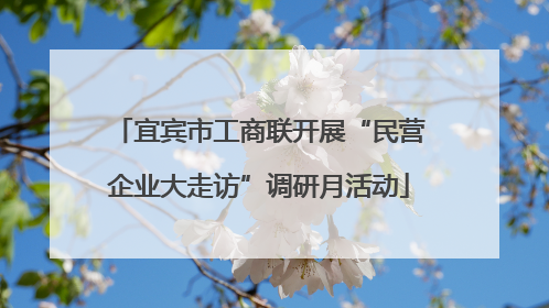 宜宾市工商联开展“民营企业大走访”调研月活动