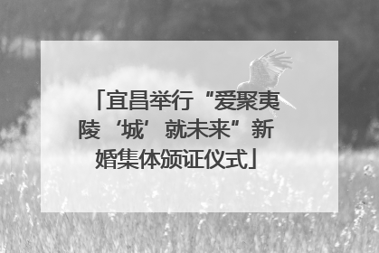 宜昌举行“爱聚夷陵‘城’就未来”新婚集体颁证仪式