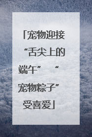宠物迎接“舌尖上的端午” “宠物粽子”受喜爱