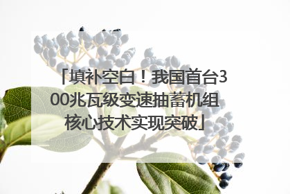 填补空白！我国首台300兆瓦级变速抽蓄机组核心技术实现突破
