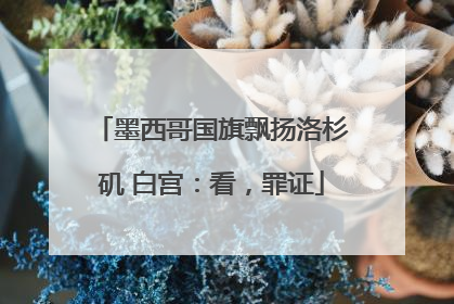 墨西哥国旗飘扬洛杉矶 白宫：看，罪证