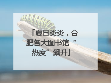 夏日炎炎，合肥各大图书馆“热度”飙升