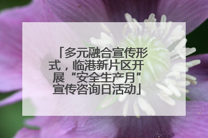 多元融合宣传形式，临港新片区开展“安全生产月”宣传咨询日活动
