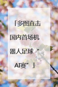 多图直击国内首场机器人足球“AI赛”