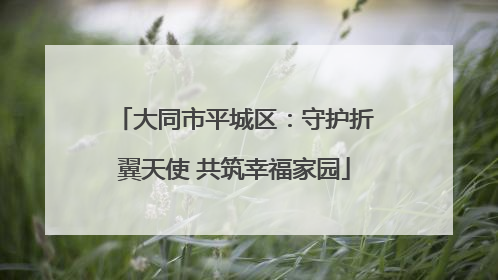 大同市平城区：守护折翼天使 共筑幸福家园