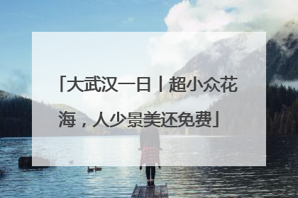 大武汉一日丨超小众花海，人少景美还免费