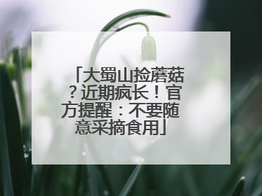 大蜀山捡蘑菇？近期疯长！官方提醒：不要随意采摘食用