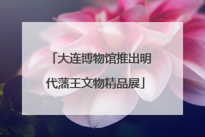 大连博物馆推出明代藩王文物精品展
