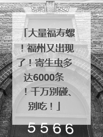 大量福寿螺！福州又出现了！寄生虫多达6000条！千万别碰、别吃！