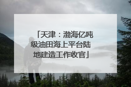 天津：渤海亿吨级油田海上平台陆地建造工作收官