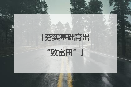 夯实基础育出“致富田”