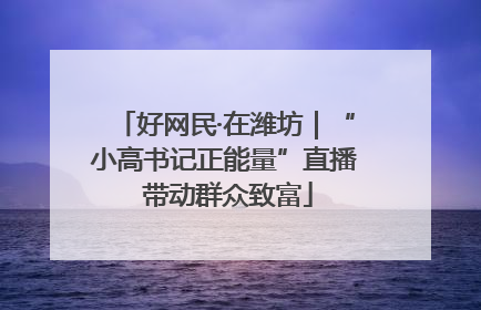 好网民·在潍坊｜“小高书记正能量”直播 带动群众致富