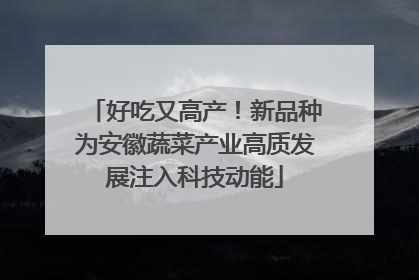 好吃又高产！新品种为安徽蔬菜产业高质发展注入科技动能