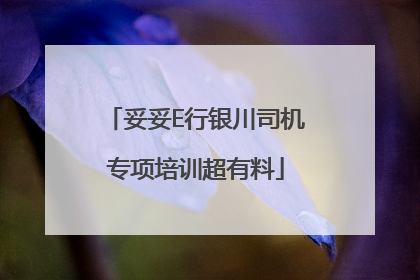 妥妥E行银川司机专项培训超有料