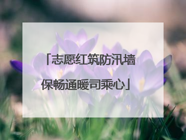 志愿红筑防汛墙 保畅通暖司乘心