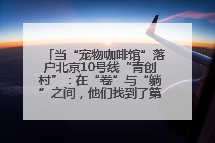 当“宠物咖啡馆”落户北京10号线“青创村”：在“卷”与“躺”之间，他们找到了第三种生活公式