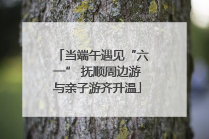 当端午遇见“六一” 抚顺周边游与亲子游齐升温