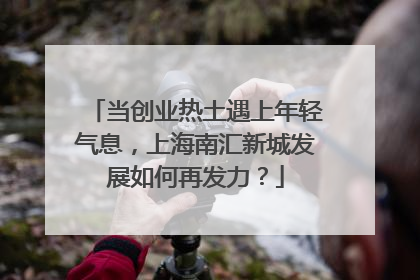 当创业热土遇上年轻气息，上海南汇新城发展如何再发力？