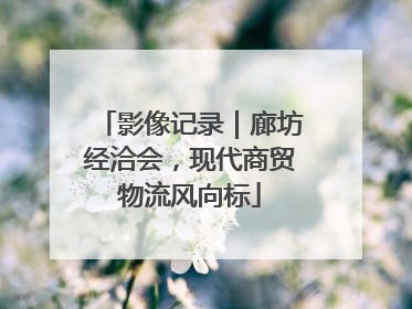 影像记录｜廊坊经洽会，现代商贸物流风向标