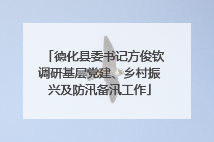 德化县委书记方俊钦调研基层党建、乡村振兴及防汛备汛工作