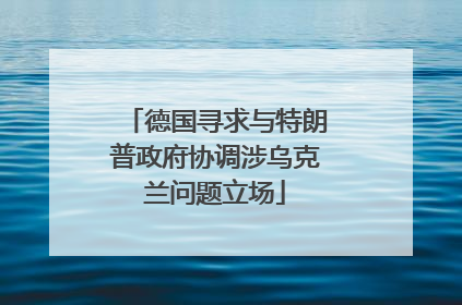 德国寻求与特朗普政府协调涉乌克兰问题立场