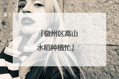 徽州区高山水稻种植忙