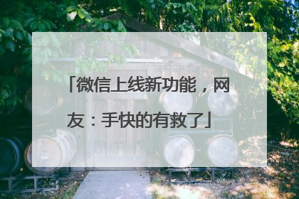 微信上线新功能，网友：手快的有救了