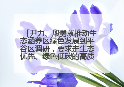 尹力、殷勇就推动生态涵养区绿色发展到平谷区调研，要求走生态优先、绿色低碳的高质量发展之路