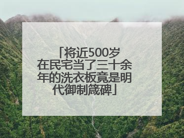 将近500岁 在民宅当了三十余年的洗衣板竟是明代御制箴碑