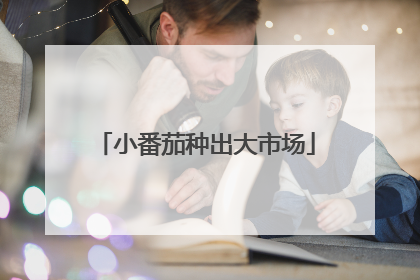 小番茄种出大市场