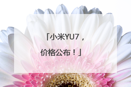 小米YU7，价格公布！