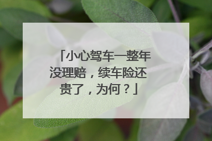 小心驾车一整年没理赔，续车险还贵了，为何？