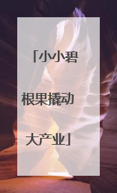 小小碧根果撬动大产业