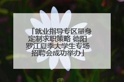 就业指导专区量身定制求职策略 德阳罗江夏季大学生专场招聘会成功举办