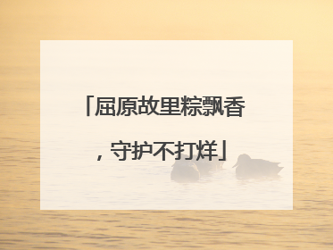 屈原故里粽飘香，守护不打烊