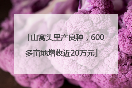 山窝头里产良种，600多亩地增收近20万元