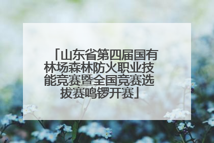 山东省第四届国有林场森林防火职业技能竞赛暨全国竞赛选拔赛鸣锣开赛