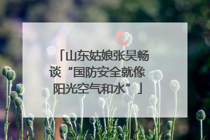 山东姑娘张昊畅谈“国防安全就像阳光空气和水”