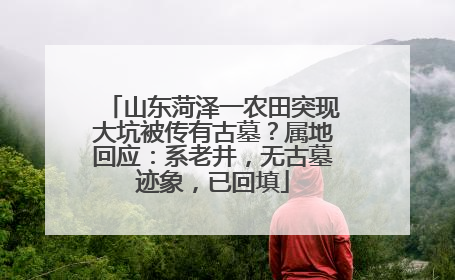 山东菏泽一农田突现大坑被传有古墓？属地回应：系老井，无古墓迹象，已回填