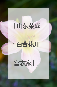山东荣成：百合花开富农家